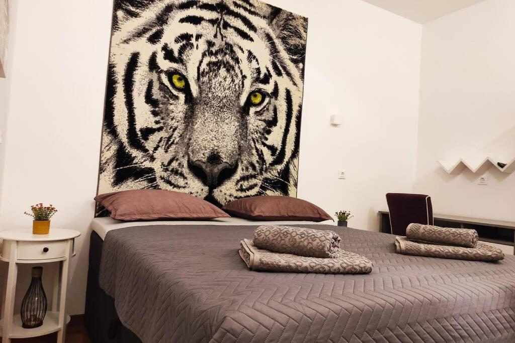 Spacious Apartment Near City Center And The Beach Σπλιτ Εξωτερικό φωτογραφία